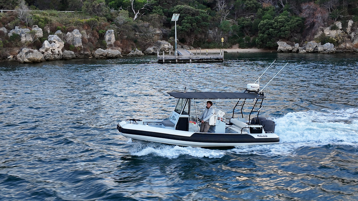 Boat Systems Engine Controls