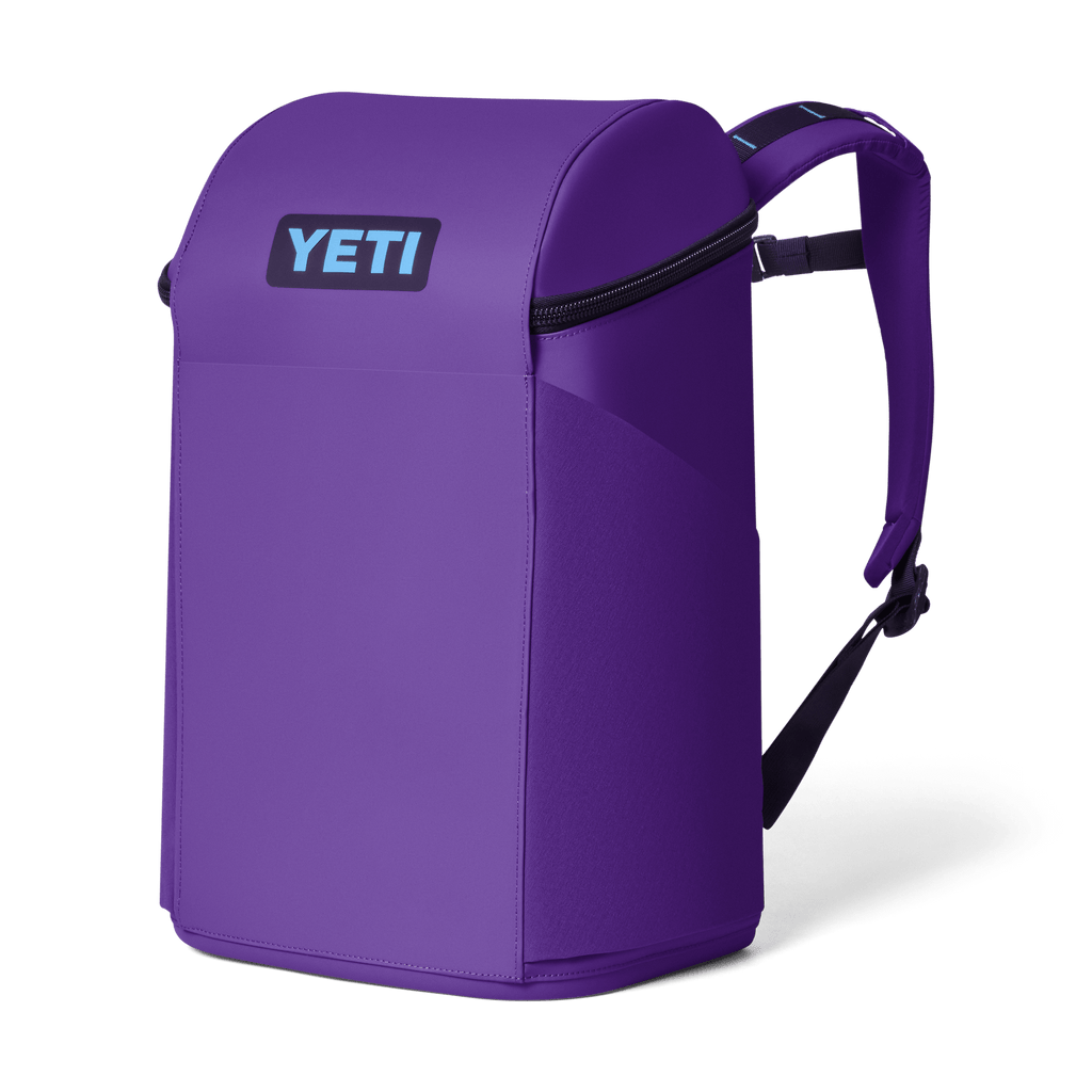 Daytrip 20L Backpack - Pace Purple/Blue