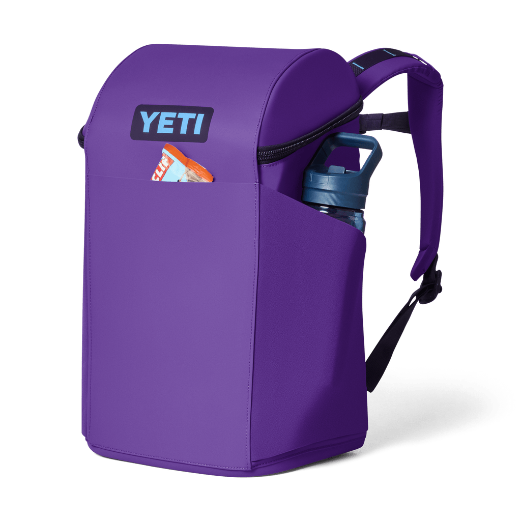 Daytrip 20L Backpack - Pace Purple/Blue