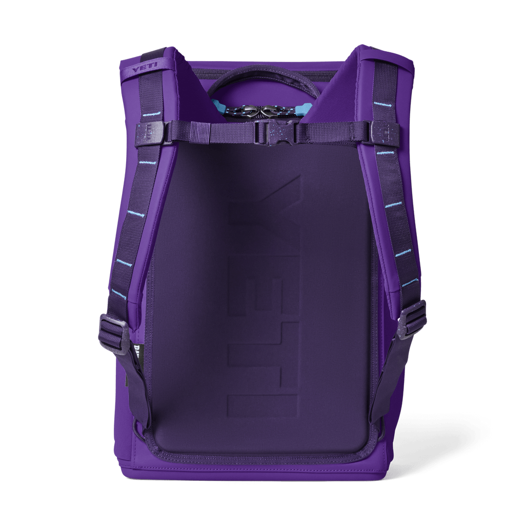 Daytrip 20L Backpack - Pace Purple/Blue - back view