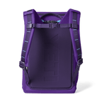 Daytrip 20L Backpack - Pace Purple/Blue - back view