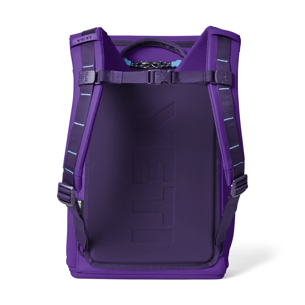 Daytrip 20L Backpack - Pace Purple/Blue - back view
