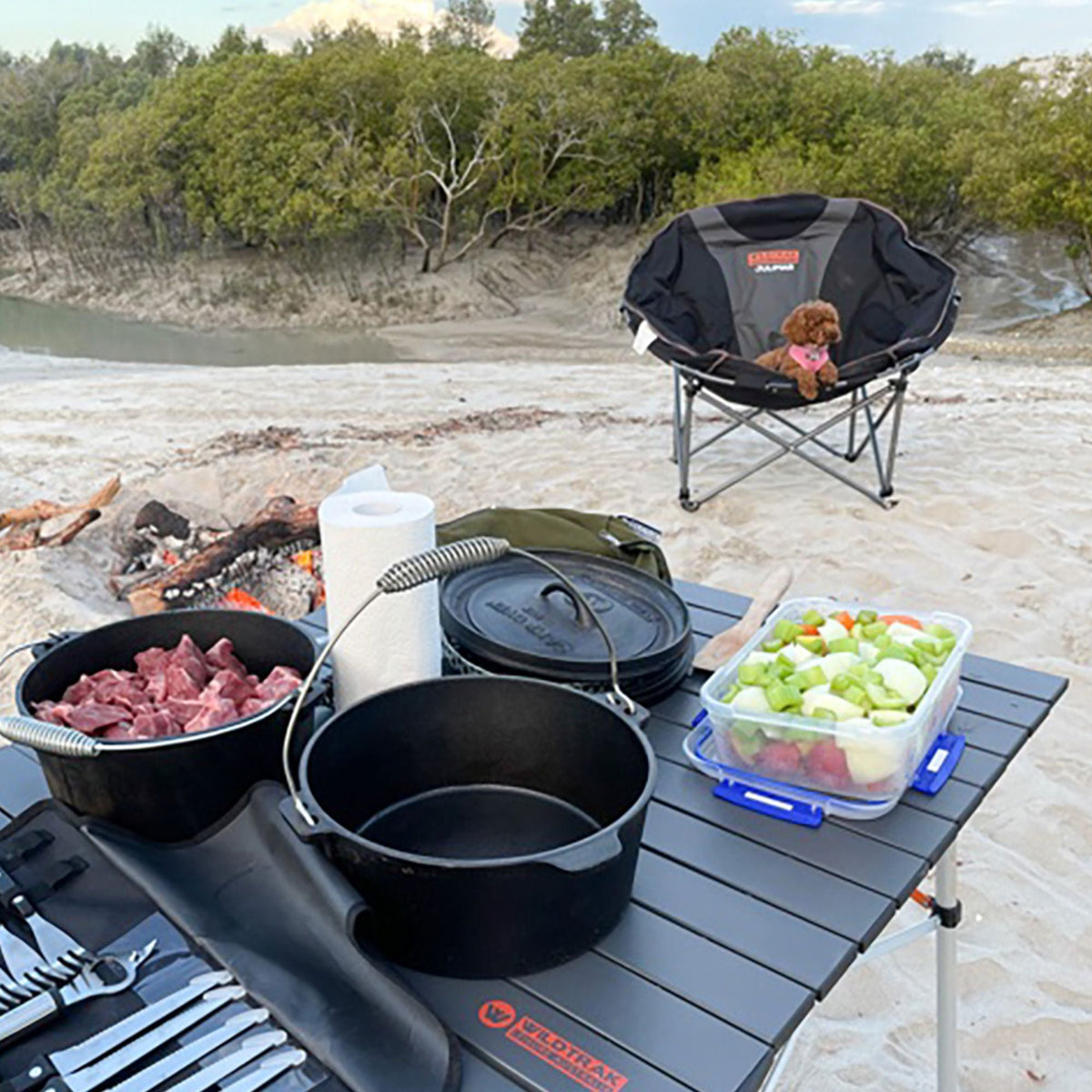Wildtrak 9 Quart Heavy-duty Round Camp Oven with Lip and Handle, Pre-Seasoned - view 13