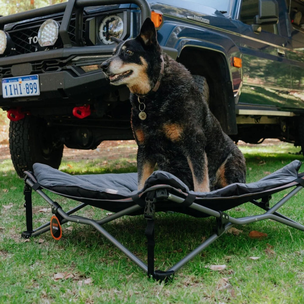 Wildtrak Deluxe Folding Pet Camp Bed with Removable Cover - view 2