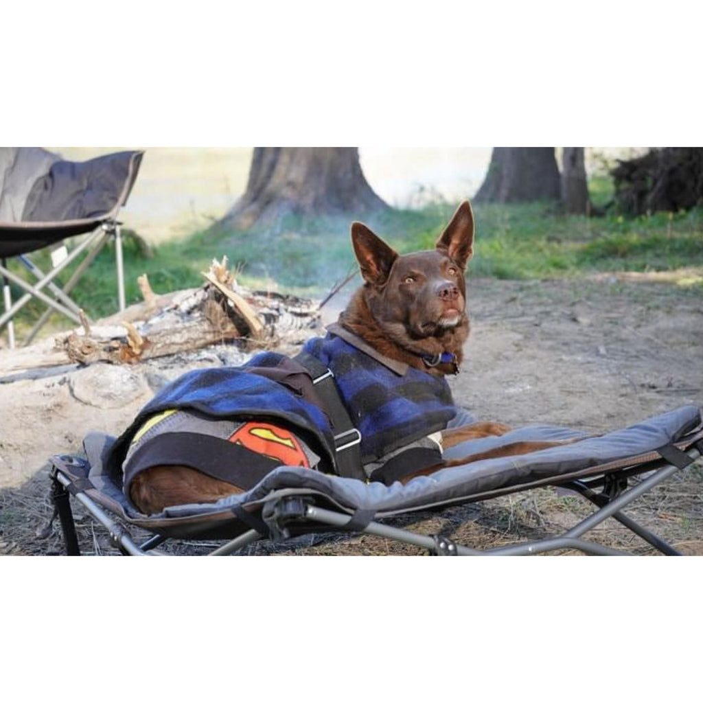 Wildtrak Deluxe Folding Pet Camp Bed with Removable Cover - view 5