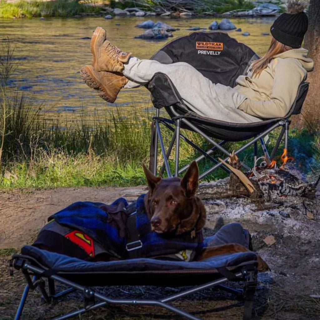 Wildtrak Deluxe Folding Pet Camp Bed with Removable Cover - view 9