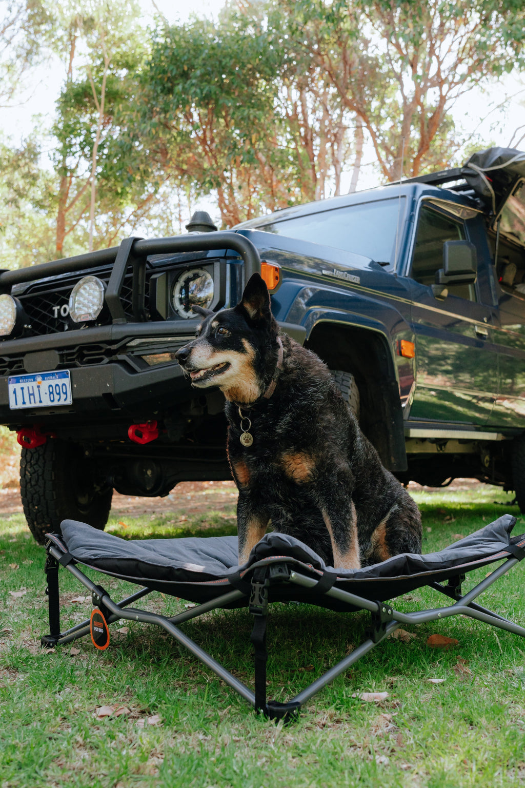 Wildtrak Deluxe Folding Pet Camp Bed with Removable Cover - view 20