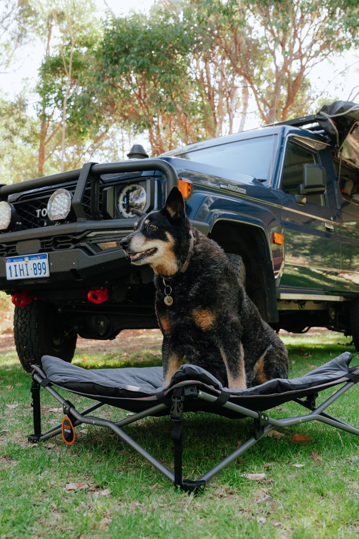 Wildtrak Deluxe Folding Pet Camp Bed with Removable Cover - view 20