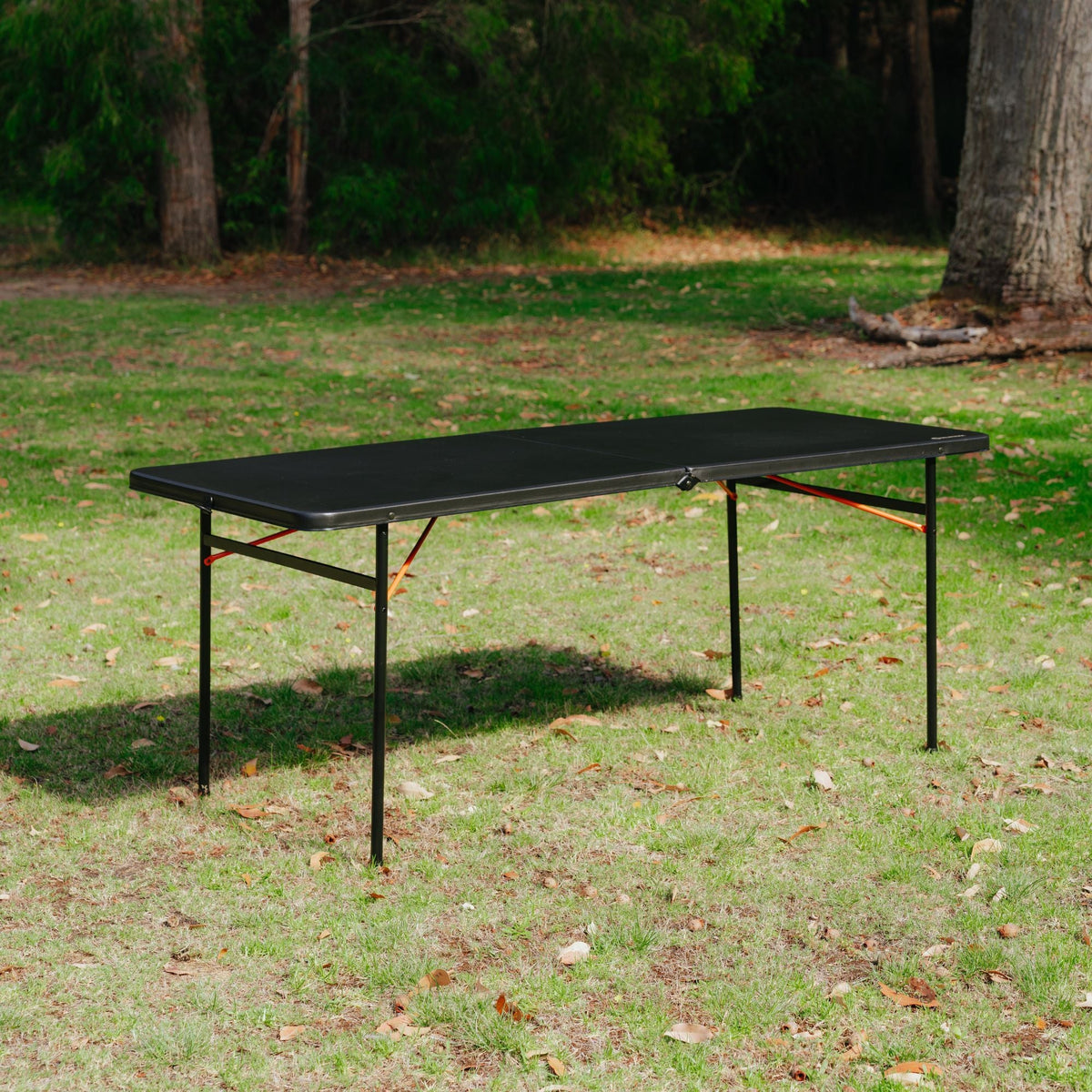 Wildtrak Bi-fold Camp Table with Carry Handle 100 x 51 x 71cm - view 2
